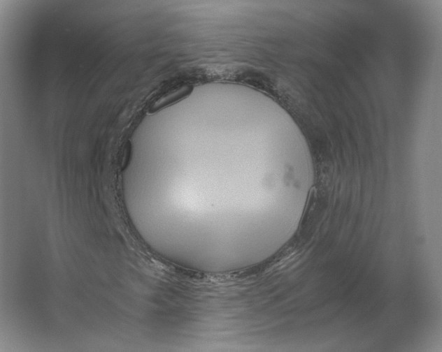 X0000063441249200602101613