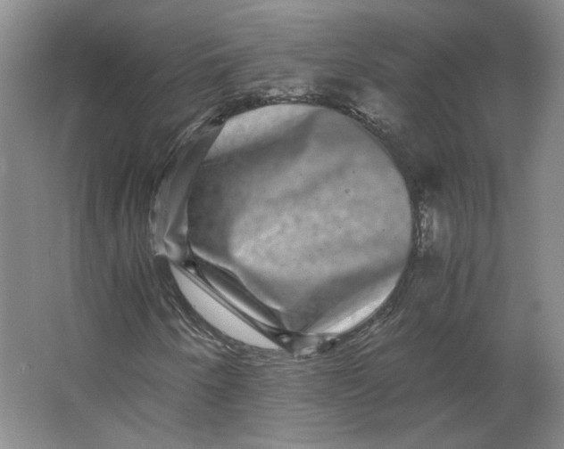 X0000063441250200602101613