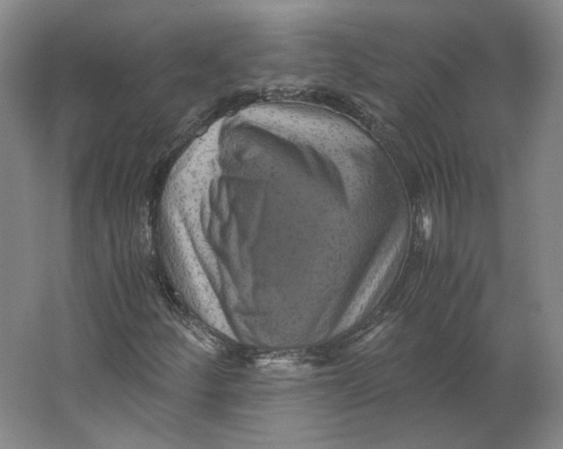 X0000063441252200602101613