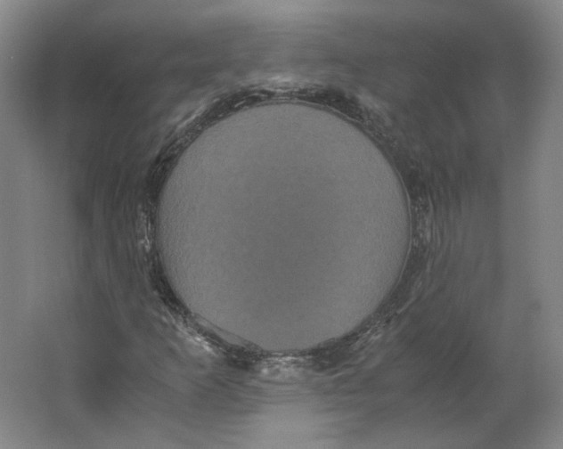 X0000063441253200602101613