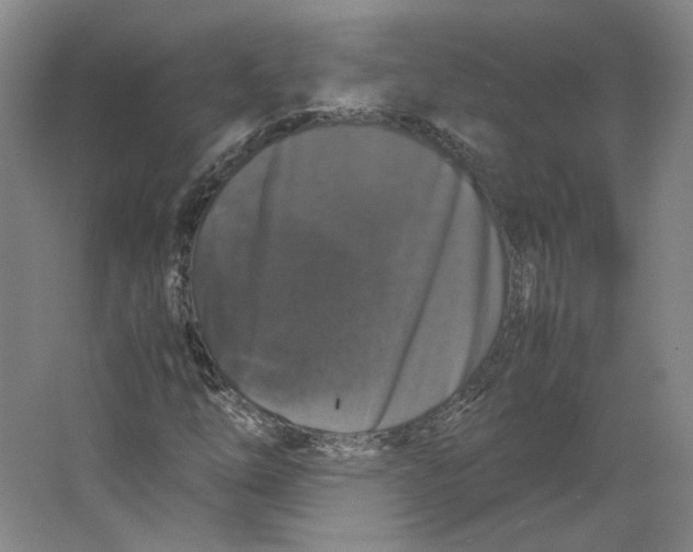 X0000063441254200602101613