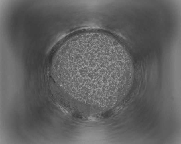 X0000063441255200602101613