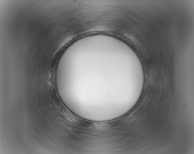 X0000063441258200602101613