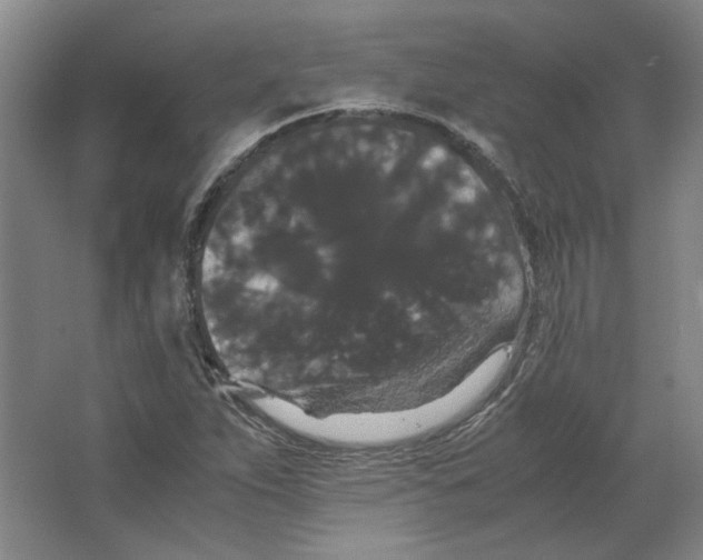 X0000063441263200602101613