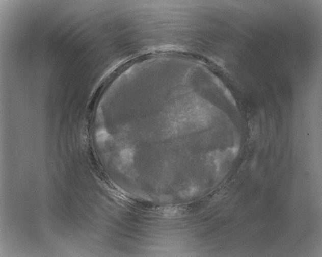 X0000063441266200602101613