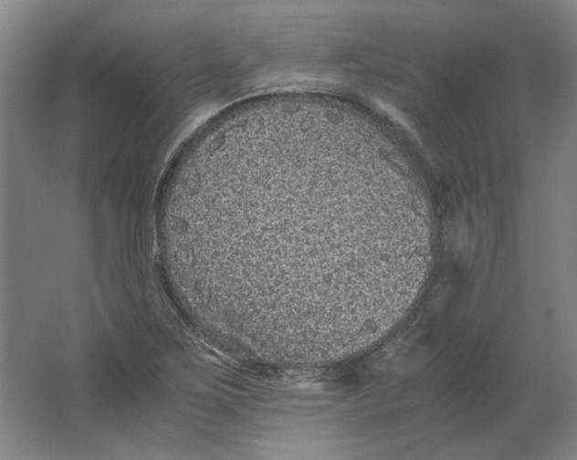 X0000063441267200602101613