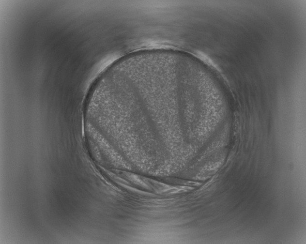 X0000063441269200602101613
