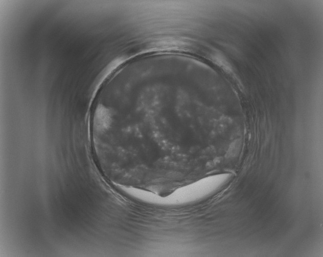 X0000063441275200602101613