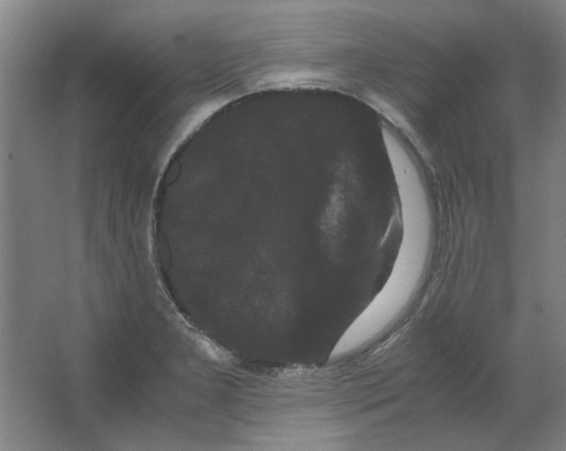 X0000063441277200602101613