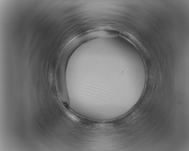 X0000063441281200602101613