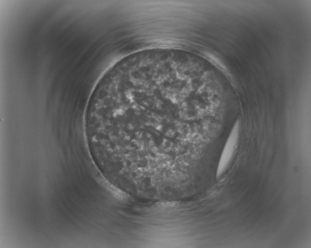 X0000063441283200602101613