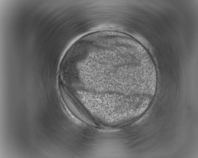 X0000063441296200602101612