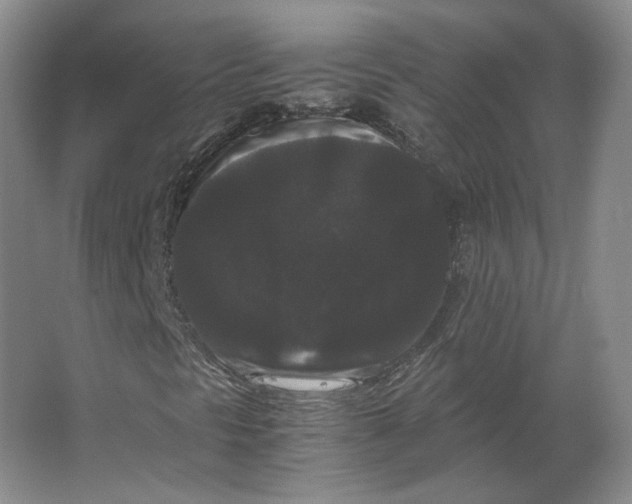 X0000063441297200602101612