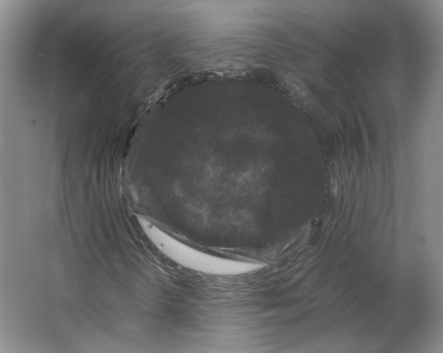 X0000063441298200602101612