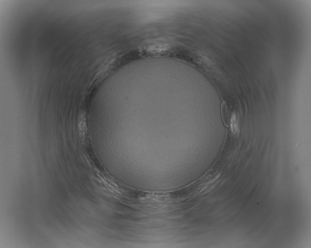 X0000063441299200602101612