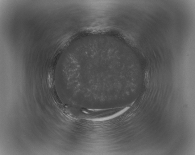 X0000063441300200602101612