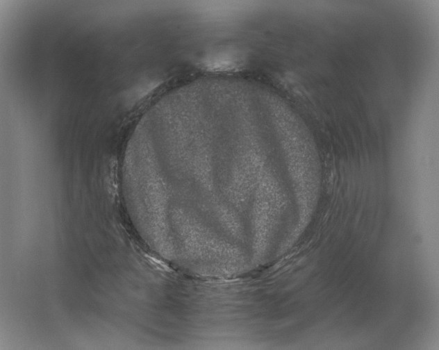 X0000063441301200602101612