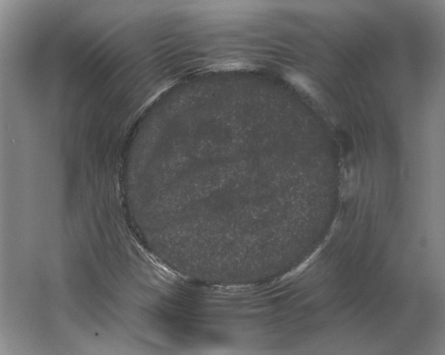 X0000063441305200602101612