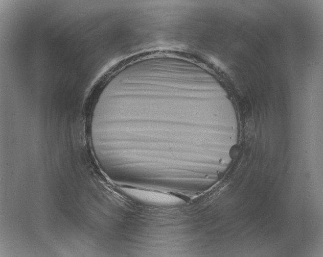 X0000063441310200602101612