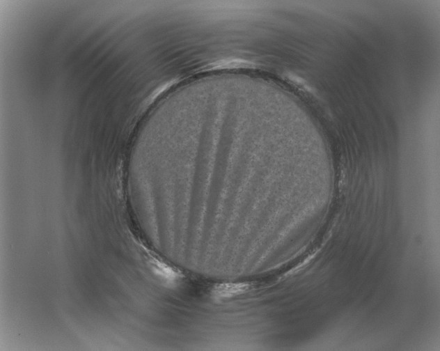 X0000063441313200602101612