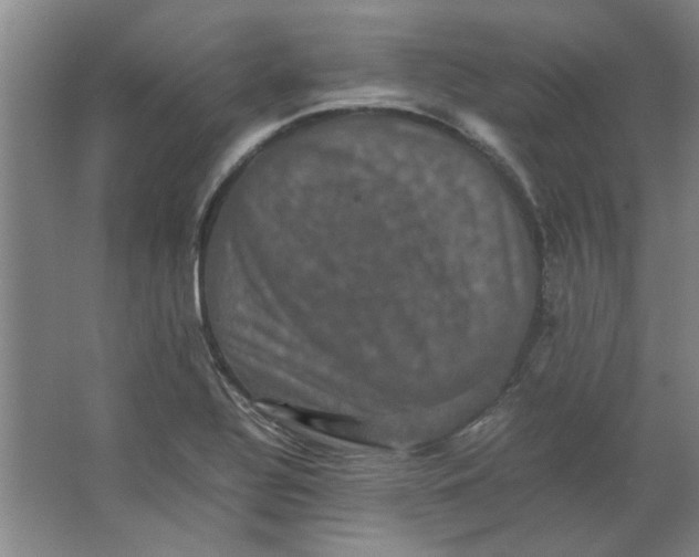 X0000063441320200602101612
