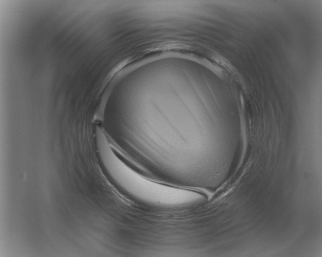 X0000063441321200602101612