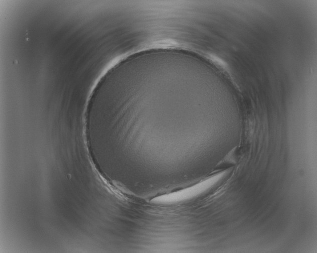 X0000063441326200602101612