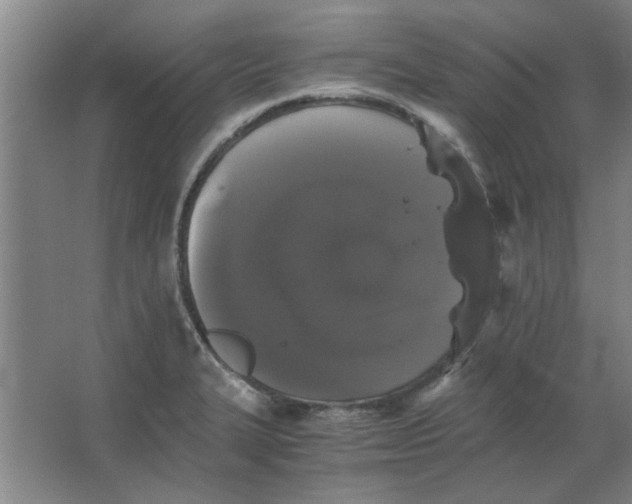 X0000063441327200602101612