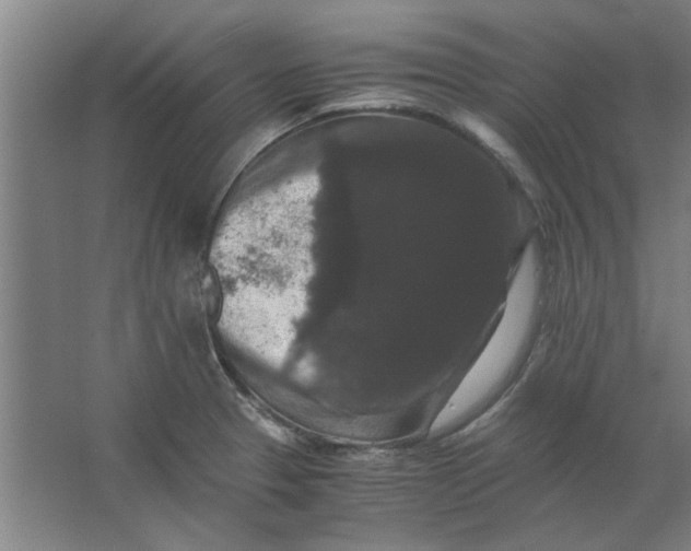 X0000063441329200602101612