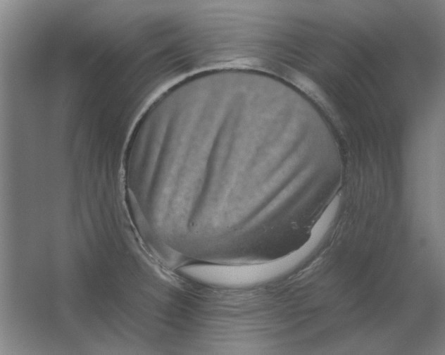 X0000063441332200602101612