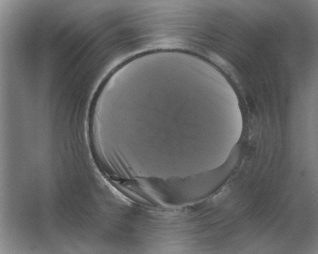 X0000063441334200602101612