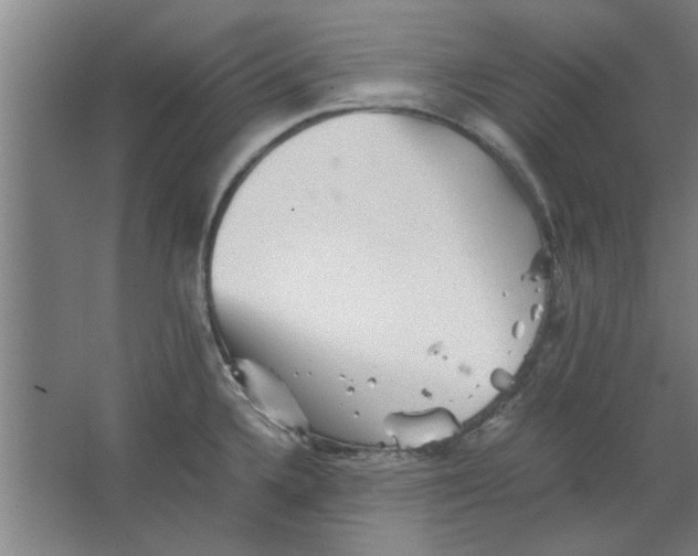 X0000063441336200602101612