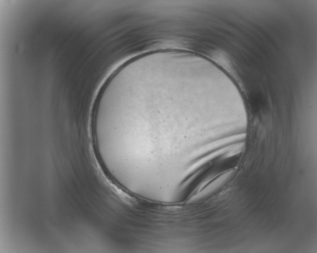 X0000063441339200602101612