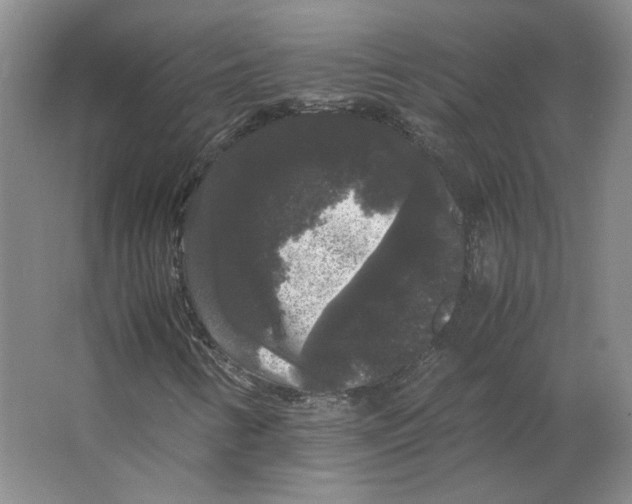 X0000063441346200602101611