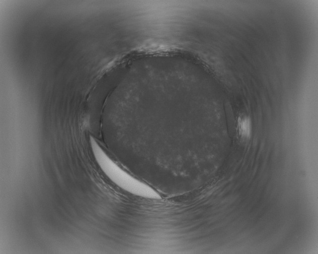 X0000063441348200602101611