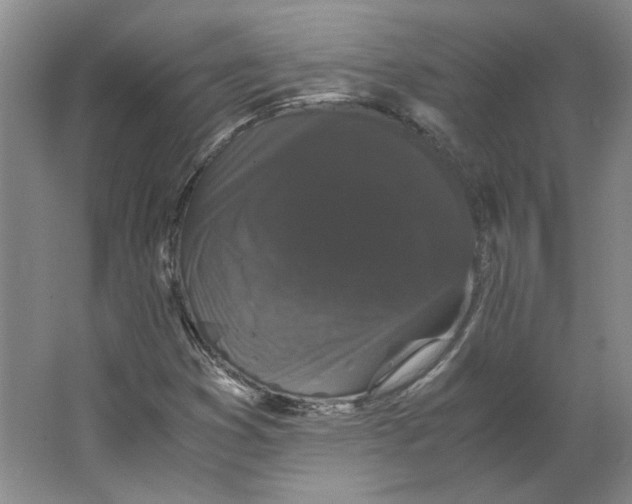 X0000063441353200602101611