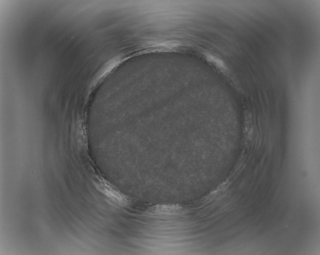 X0000063441354200602101611