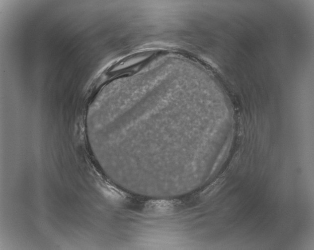 X0000063441355200602101611
