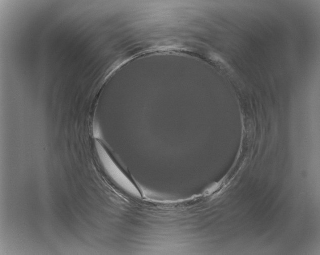 X0000063441361200602101611