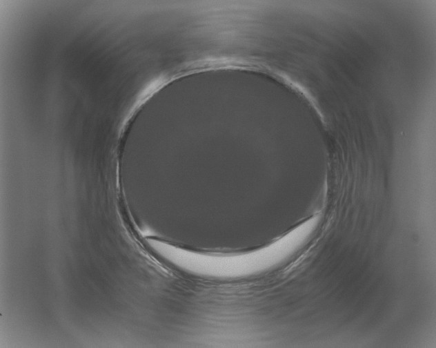 X0000063441365200602101611