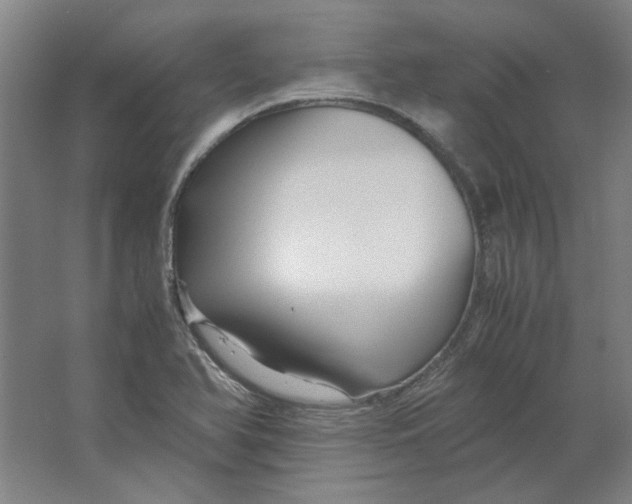 X0000063441366200602101611