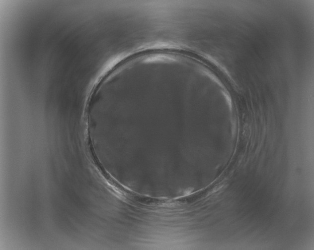 X0000063441367200602101611