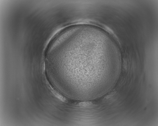 X0000063441368200602101611
