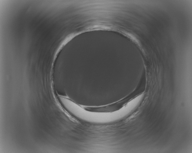 X0000063441373200602101611