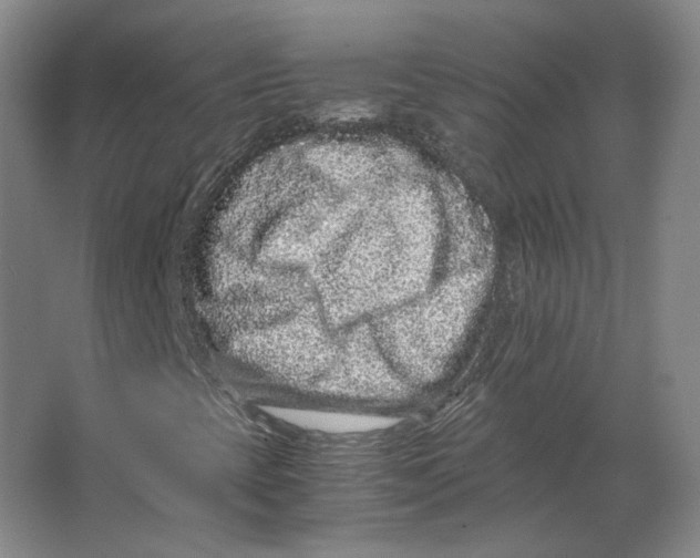 X0000063441393200602101610