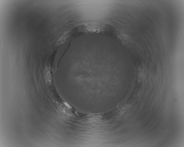 X0000063441394200602101610