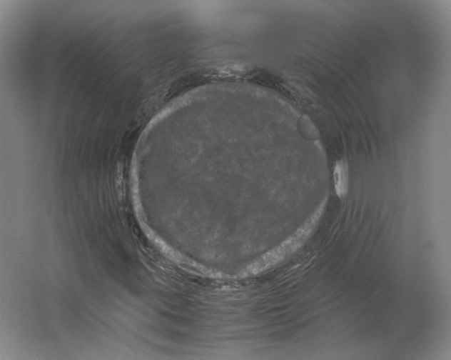 X0000063441395200602101610