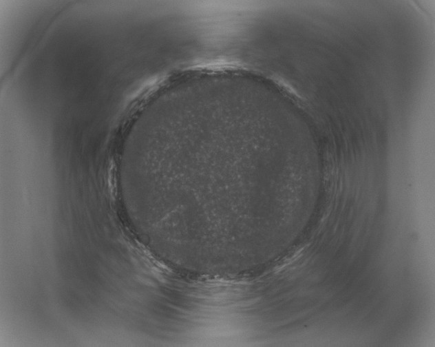 X0000063441398200602101610