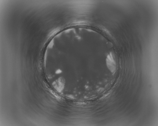 X0000063441405200602101610