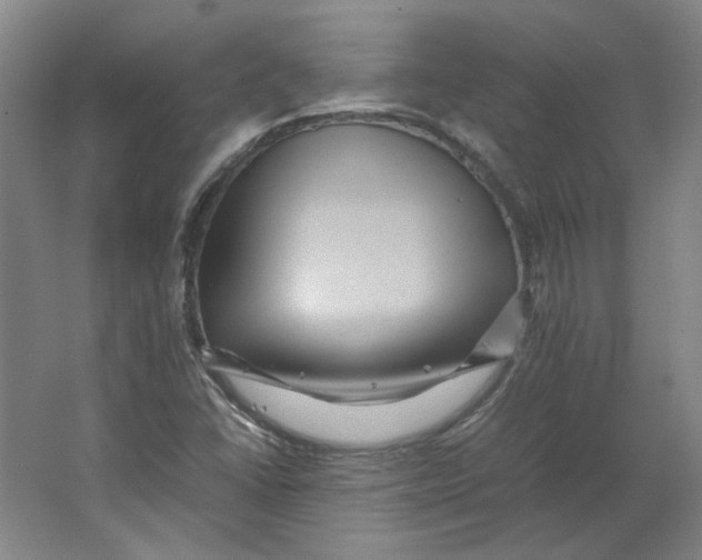 X0000063441406200602101610